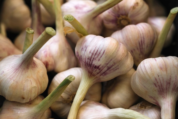 Bezpłatne zdjęcie Świeże aromatyczne cebule czosnku