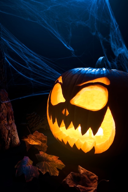 Upiorna halloweenowa dynia i widok z boku pajęczyny