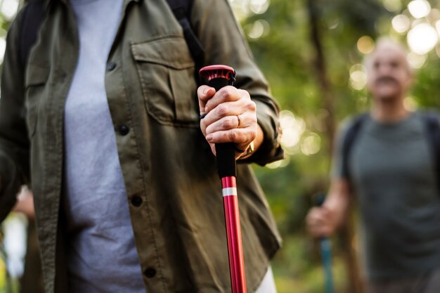 Anziani trekking in una foresta