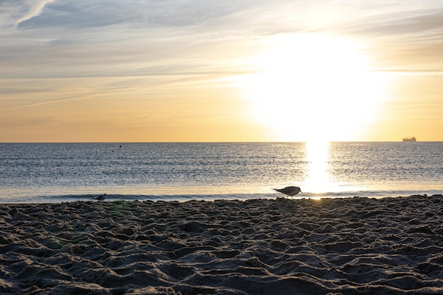 Argine del mare al tramonto con un cielo limpido e senza nuvole