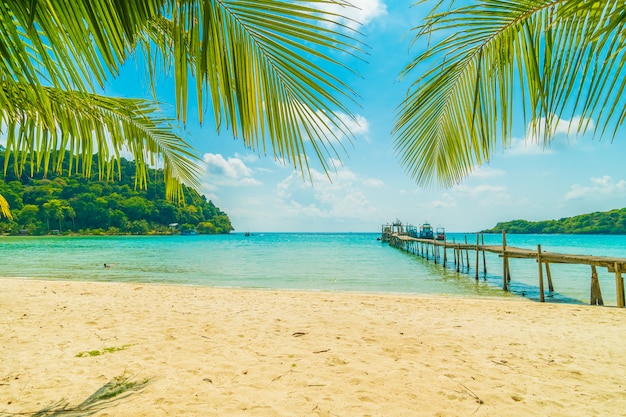 Bella spiaggia tropicale e mare con palme da cocco in paradiso isola