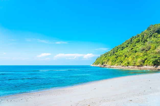 Bella spiaggia tropicale mare oceano con cocco e altro albero intorno nuvola bianca sul cielo blu