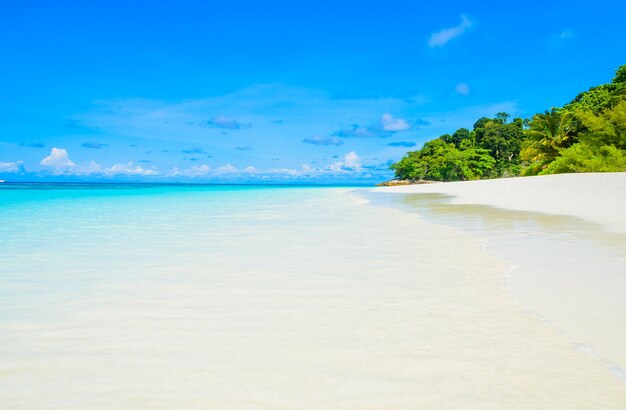 Bella spiaggia tropicale