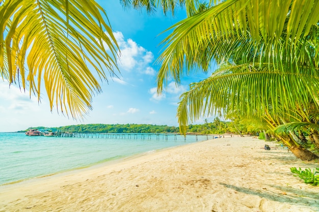 Bellissima spiaggia tropicale e mare