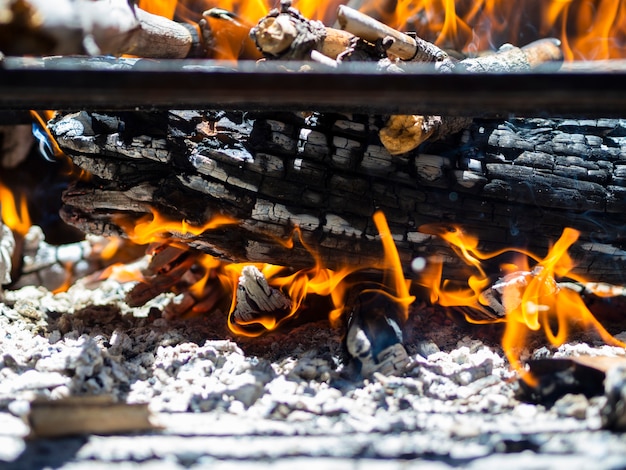 Foto gratuito bruciando boschi nella buca del fuoco