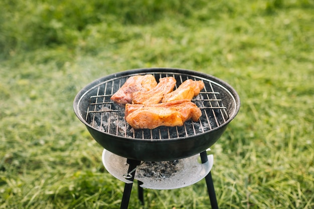 Carne alla griglia in natura