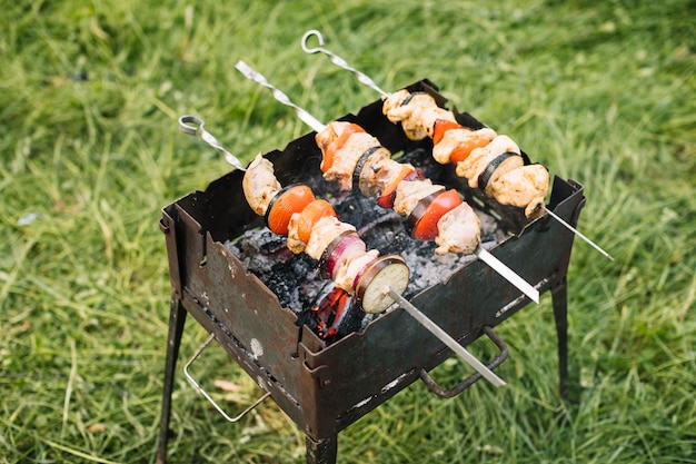 Carne sulla griglia del barbecue in natura