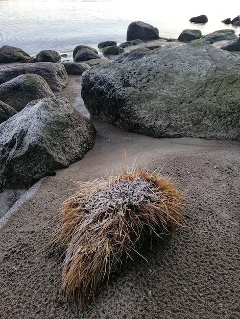 Foto gratuito formazioni rocciose sulla spiaggia di stavern, norvegia