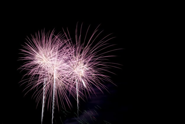 Fuochi d&#39;artificio colorati nel cielo notturno