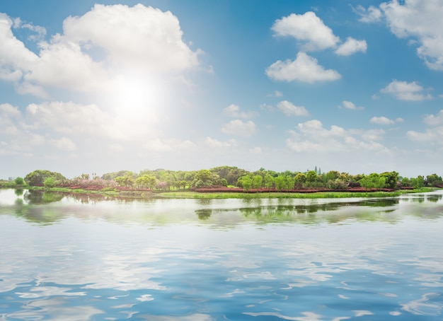 Foto gratuito il bellissimo parco