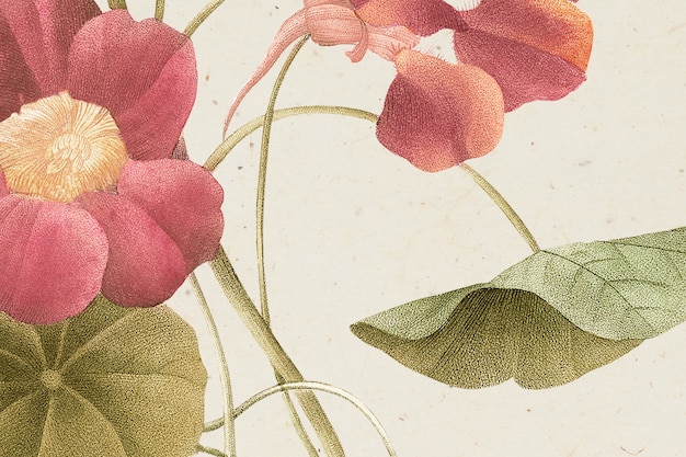 Foto gratuito illustrazione di sfondo vintage fiore primaverile, remixata da opere d'arte di pubblico dominio