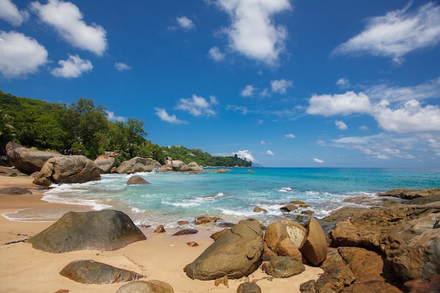 Foto gratuito la spiaggia delle seychelles