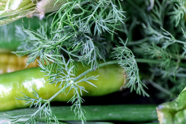 Foto gratuito macro girato aneto fresco tra le altre verdure