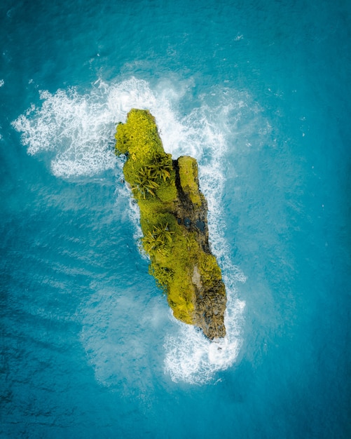 Foto gratuito ripresa aerea di una bellissima isoletta verde nel mezzo dell'oceano