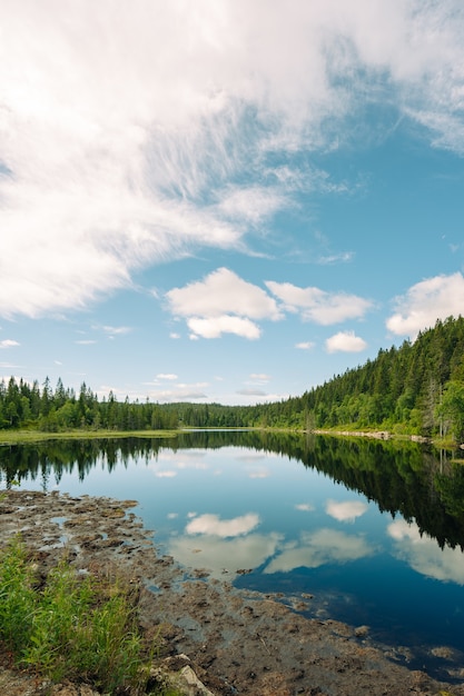 Foto gratuito ripresa verticale di un lago e alberi in una giornata nuvolosa