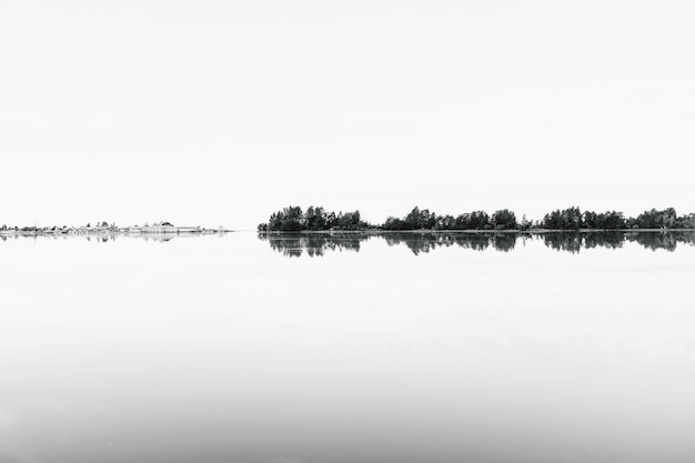 Tiro in scala di grigi di una serie di alberi che si riflettono nell'acqua