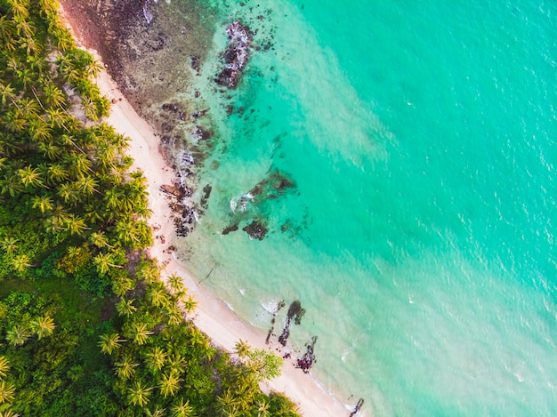 Foto gratuito vista aerea di bella spiaggia e mare con palme da cocco