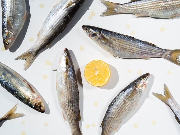 Foto gratuito vista dall'alto di pesce crudo con un limone