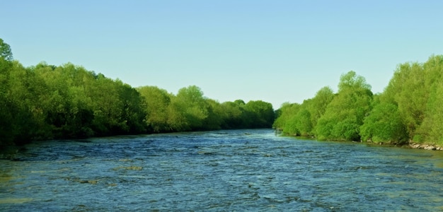 Foto ampio fiume circondato dalla natura di alberi verdi e fiumi durante il giorno