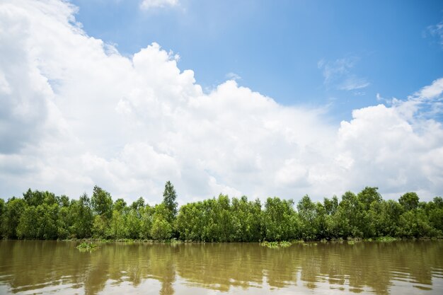 Foto bang pakong river view