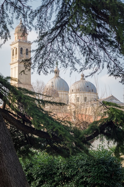 Basilica pontificia di Sant&#39;Antonio da Padova incorniciata da alberi