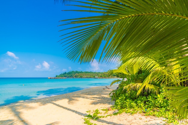 Bellissima spiaggia tropicale e mare