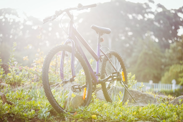 Foto bicicletta parcheggiata sull'erba