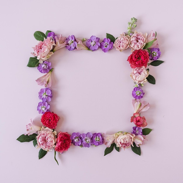 Cornice quadrata fatta di boccioli di fiori di rosa su sfondo rosa Vista dall'alto flatlay Vista dall'alto Mockup dello spazio di copia