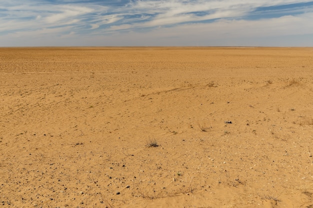 Deserto di sabbia. La vista del deserto del Kazakistan.