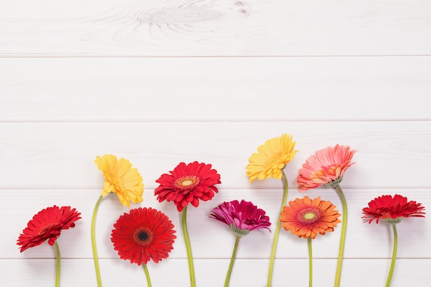 Fiori rossi e gialli della gerbera nel fondo di legno.