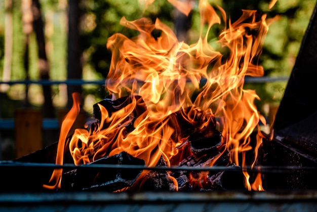 Foto fuoco che brucia in un braciere in natura in estate