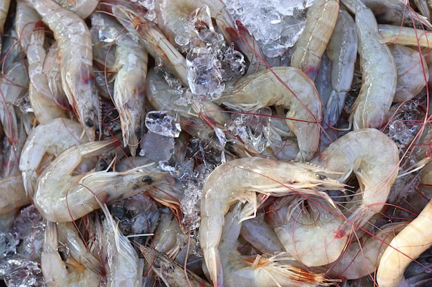 gamberi freschi al cibo di strada