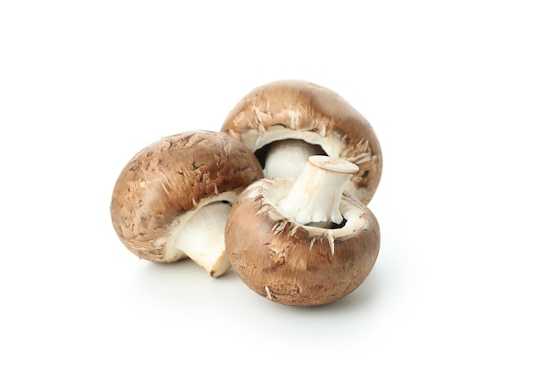 Gustosi funghi champignon isolati su sfondo bianco