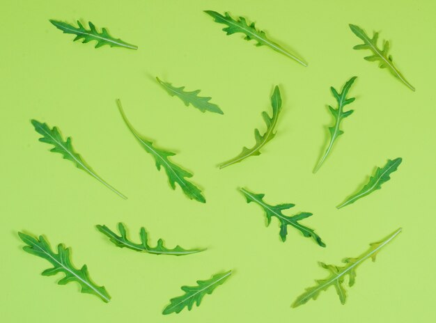 Foto il modello creativo di colore della rucola lascia su un fondo verde, il flatlay, disposizione