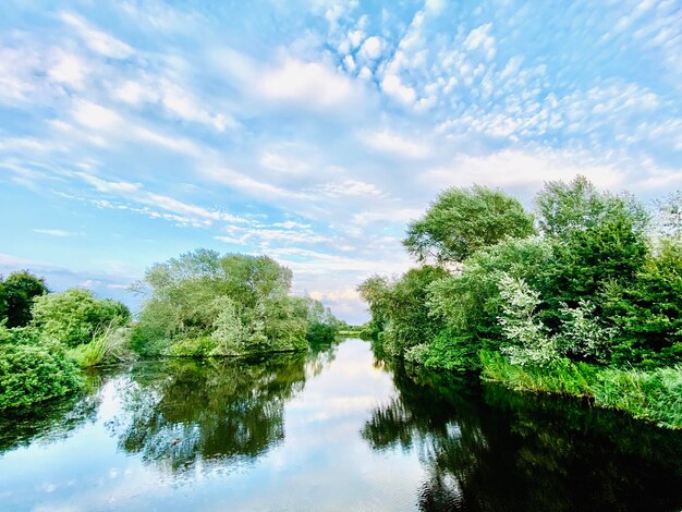 Foto il riflesso degli alberi nel lago contro il cielo