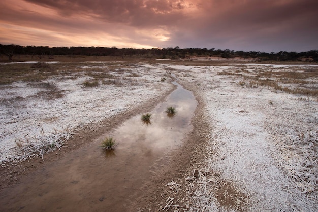 Il salnitro sul pavimento di una laguna in un ambiente semi desertico La Pampa provincia Patagonia Argentina