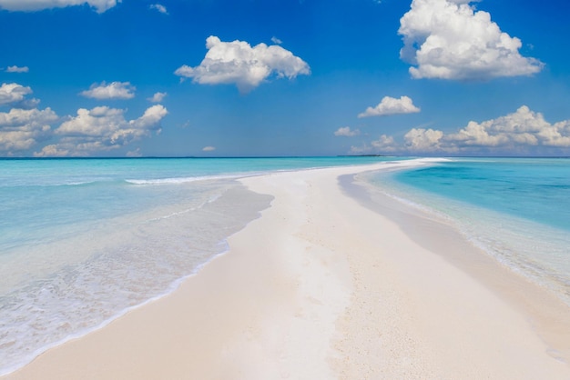 Incredibile natura della spiaggia estiva tropicale. Spiaggia di sabbia bianca, banco di sabbia del cielo blu soleggiato dell'acqua di mare della laguna