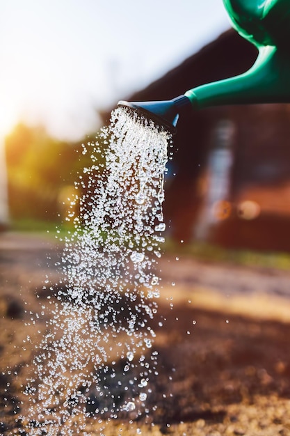 Innaffiare il giardino da una pentola Coltivare il terreno