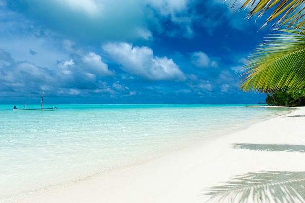 Isola tropicale delle Maldive con spiaggia di sabbia bianca e mare