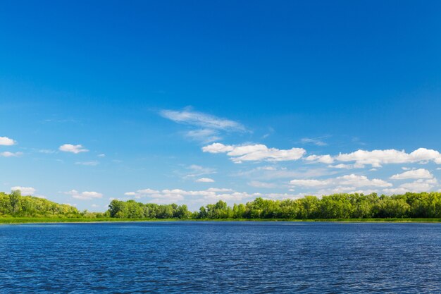 Foto paesaggio estivo con lago forestale e cielo blu