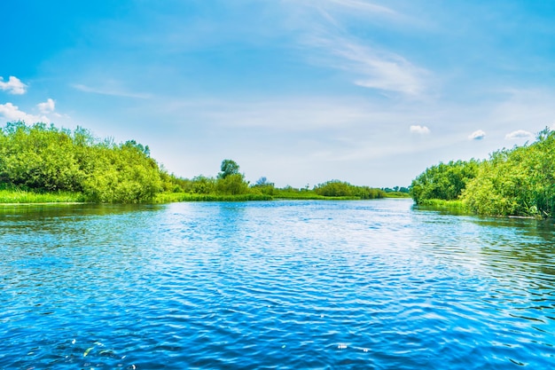 Foto paesaggio fluviale e foresta verde con alberi d'acqua blu nuvole sul cielo