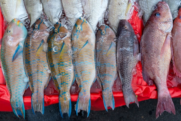 Pesce di mare fresco da vendere al mercato alimentare di strada a Kota Kinabalu, isola Borneo, Malesia, primo piano di frutti di mare