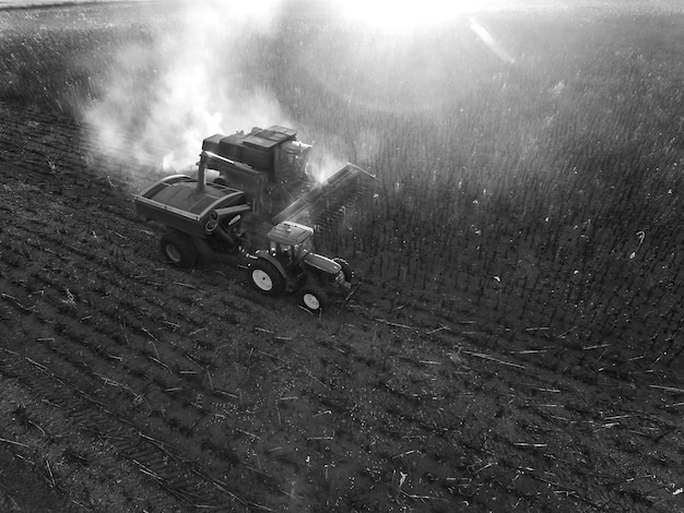 Raccolta nella campagna argentina La Pampa Argentina