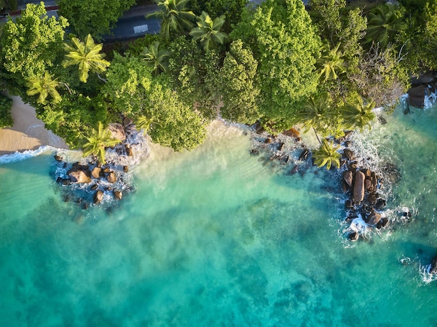 Foto spiaggia alle seychelles vista aerea dall'alto