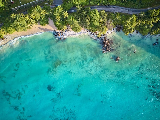 Foto spiaggia alle seychelles vista aerea dall'alto