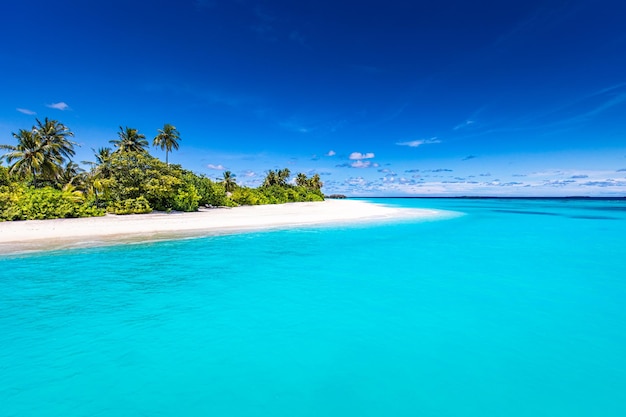 Spiaggia dell'isola delle Maldive. Viaggio estivo paesaggio tropicale, sabbia bianca con palme. Vacanza di lusso