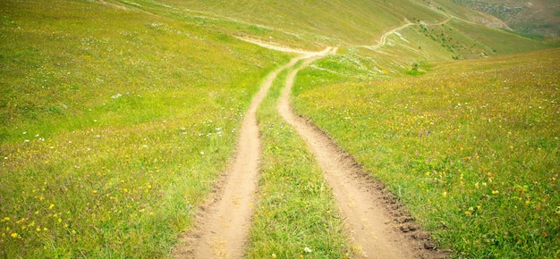 Strada di terra in natura Armenia Estate