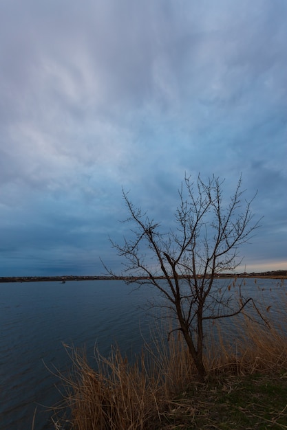 Tarda serata al lago coperto e nuvoloso con rami di alberi in primo piano