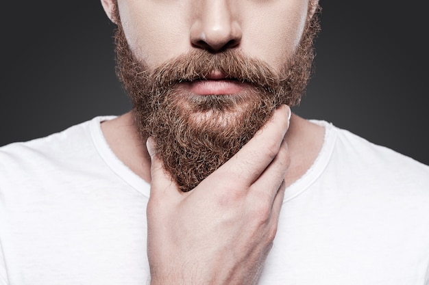 Foto toccando la sua barba perfetta. primo piano di un giovane uomo barbuto che si tocca la barba mentre sta in piedi su uno sfondo grigio