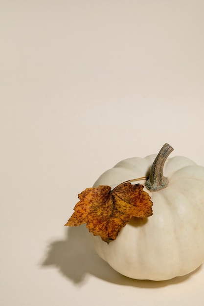 Zucca bianca con foglie autunnali